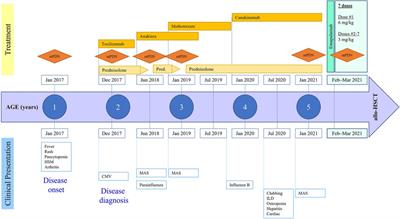 Case report: Emapalumab for active disease control prior to hematopoietic stem cell transplantation in refractory systemic juvenile idiopathic arthritis complicated by macrophage activation syndrome